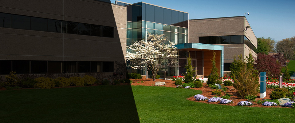 South Elgin Landscapers