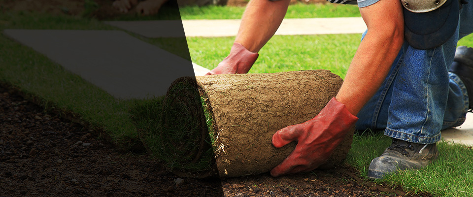 South Elgin Landscapers